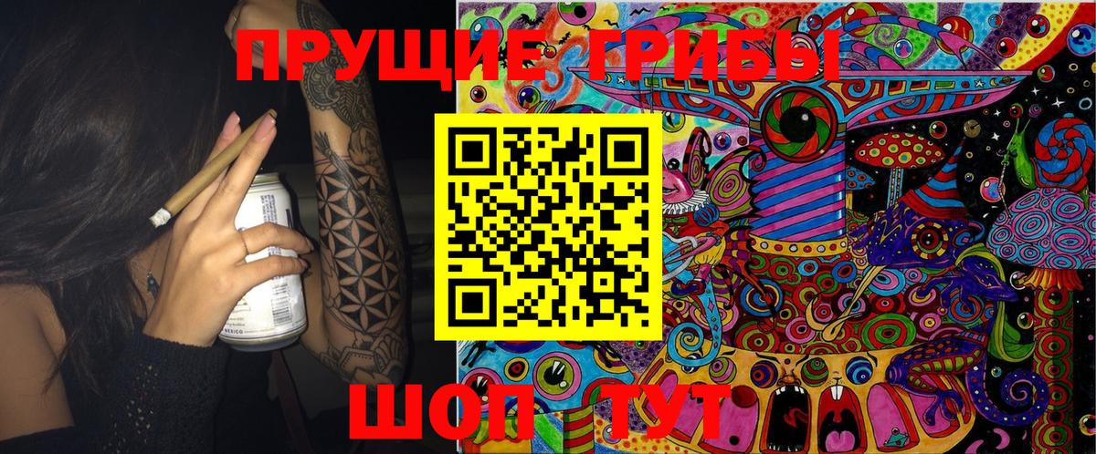 Можайск  Галлюциногенные грибы Cubensis  Вход с VPN 