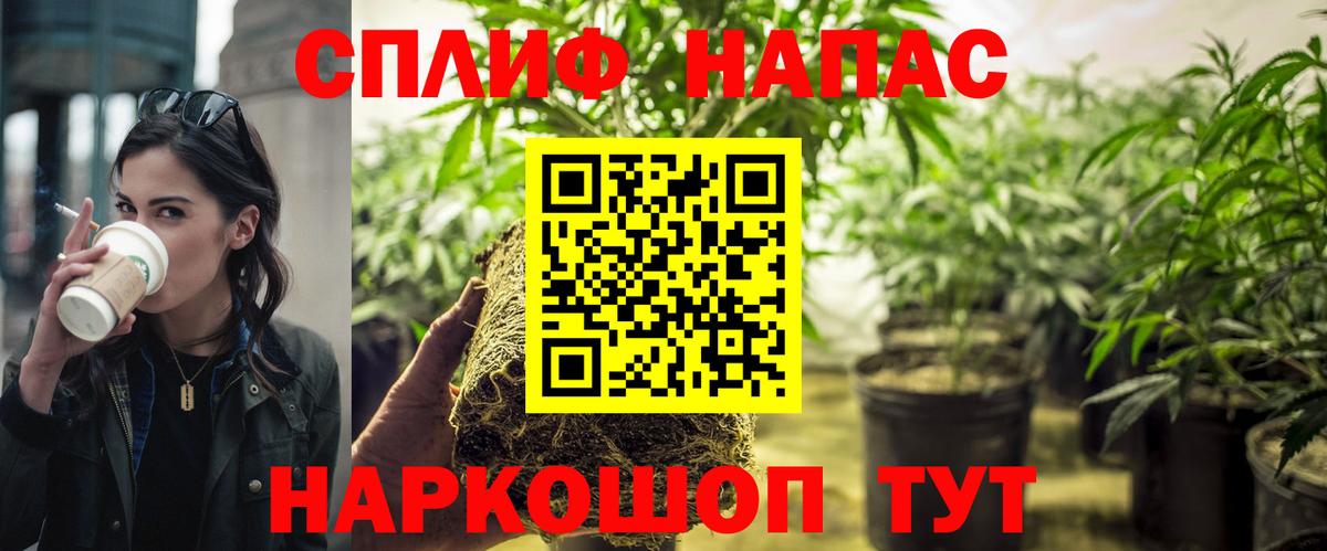 МАРИХУАНА семена Можайск